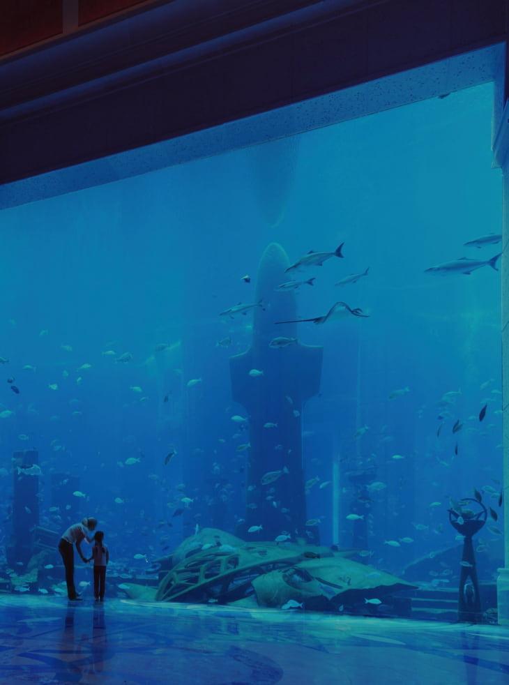 Aquarium Lost Chambers