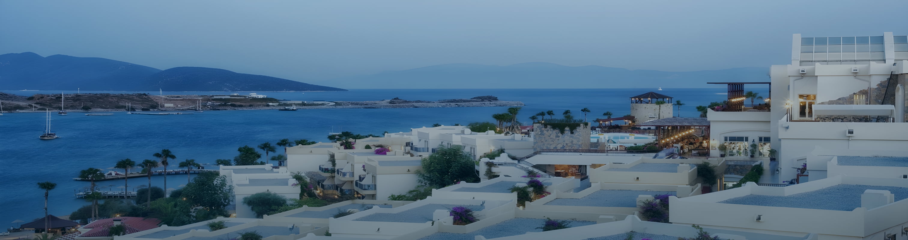 Header