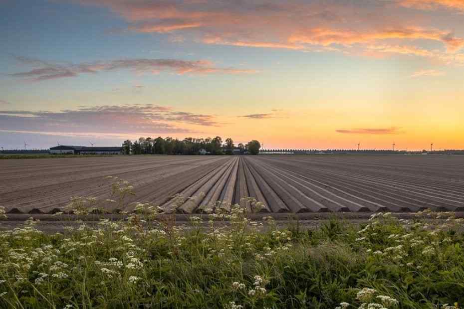 Trem Global Can Foreigners Buy Agricultural Land in Turkey?