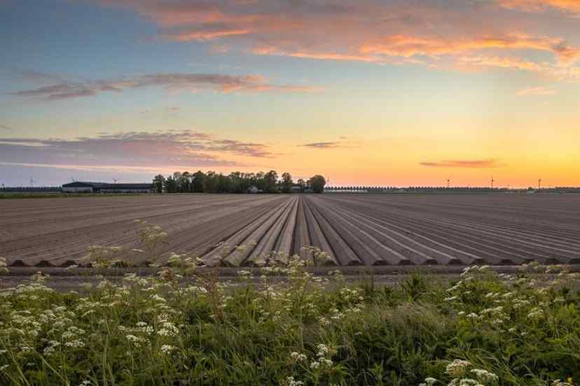 Trem Global Can Foreigners Buy Agricultural Land in Turkey?