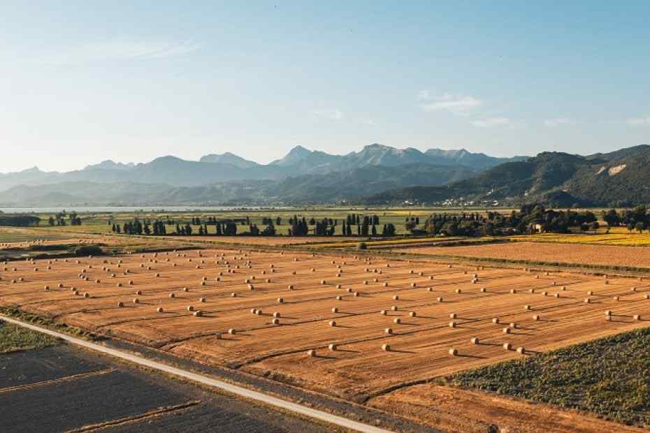 Trem Global How much does land cost per hectare?