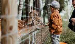 Zoos and Aquariums in Turkey