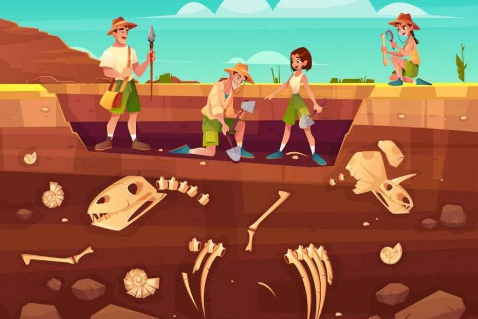 Archaeological Discoveries in Turkey