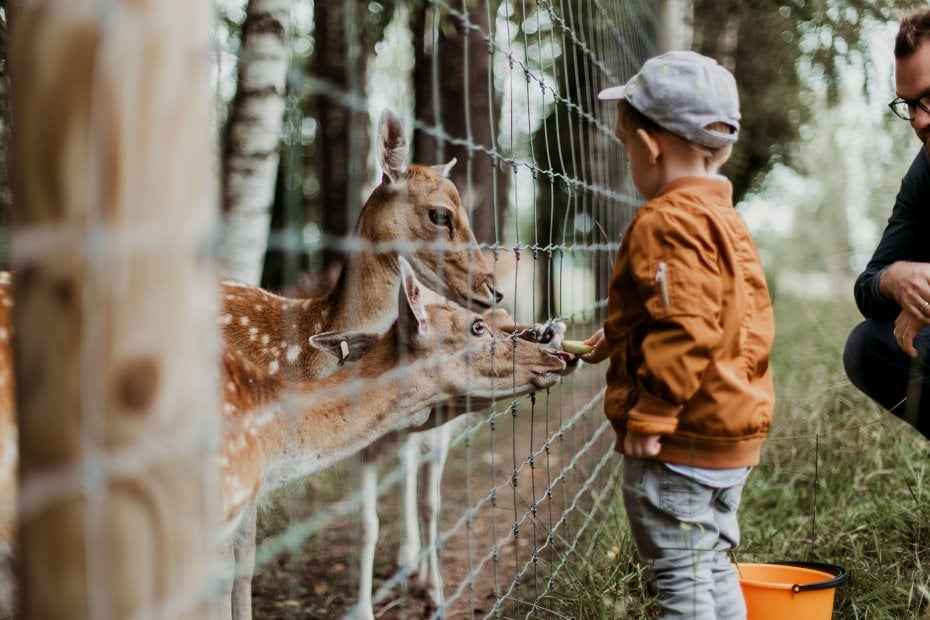 Zoos and Aquariums in Turkey