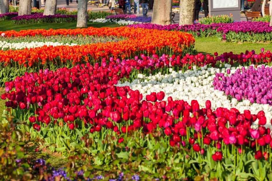 İstanbul’un Büyüleyici Parkları