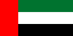 Flag icon