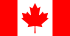 Flag icon
