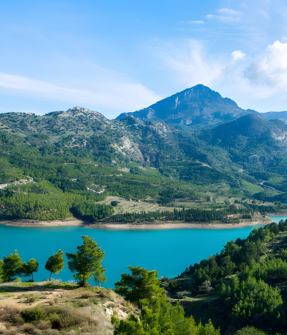 Cyprus cost