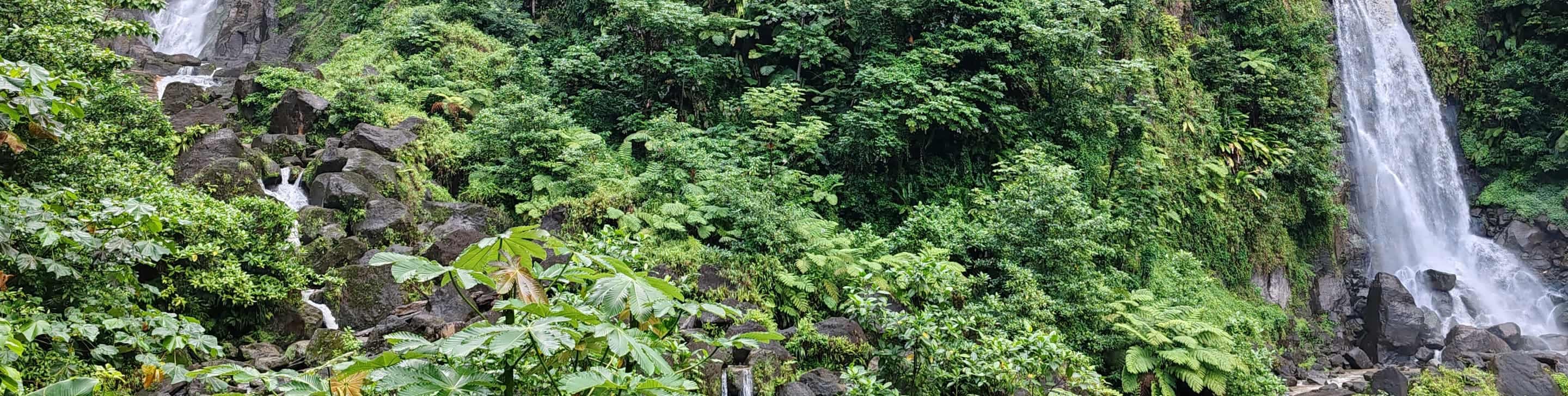 Dominica citizenship by investment