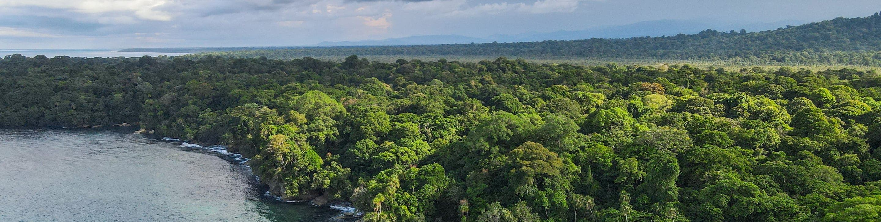 Rainforest meeting a quiet coastline in Costa Rica