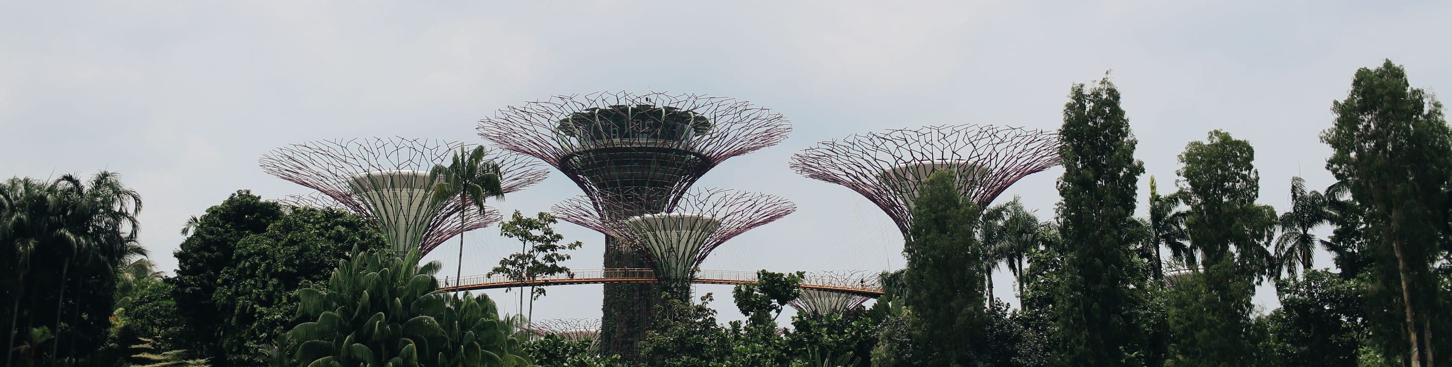 Supertree Grove at Gardens by the Bay, Singapore