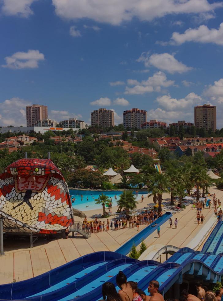 Aqua Clup Dolphin