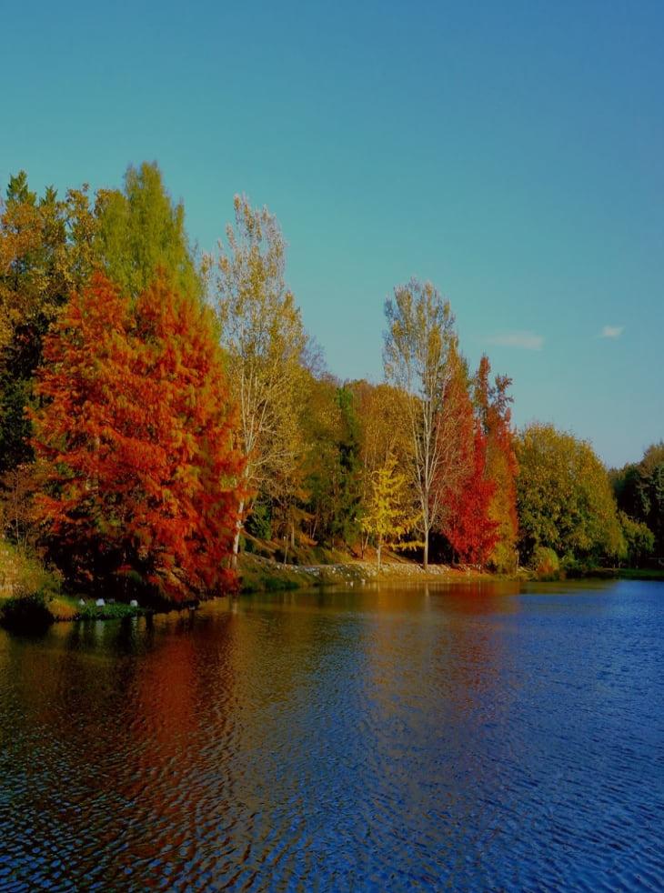 Ataturk Arboretum