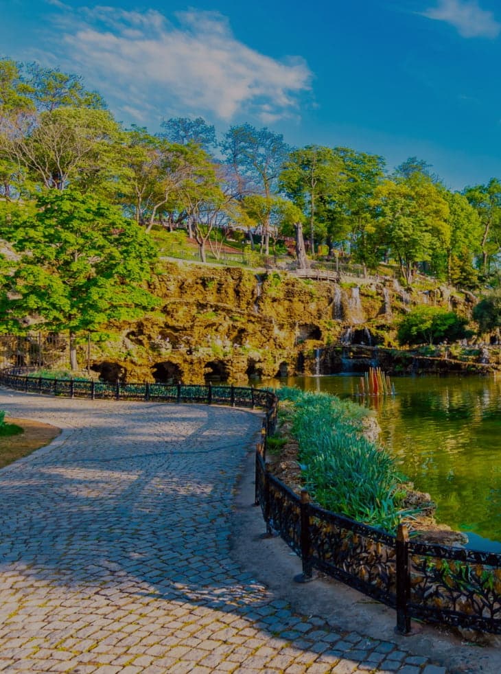 बेलग्राड जंगल