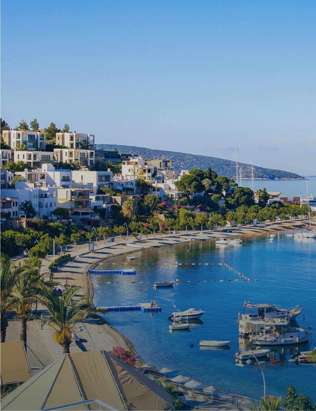 The Land of Luxury Image