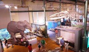 Best Museums and Art Galleries in Madrid