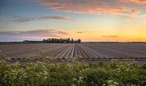 Can Foreigners Buy Agricultural Land in Turkey?