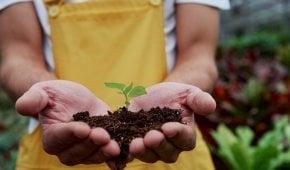 ترکی میں ماحولیاتی فارم