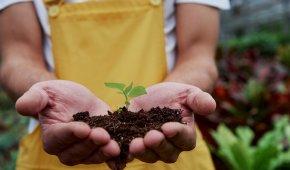 Ecological Farms in Turkey