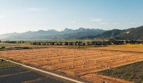 How much does land cost per hectare?