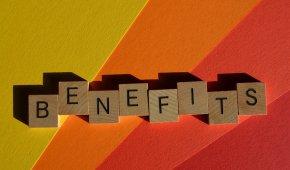 Social Welfare Programs in the USA