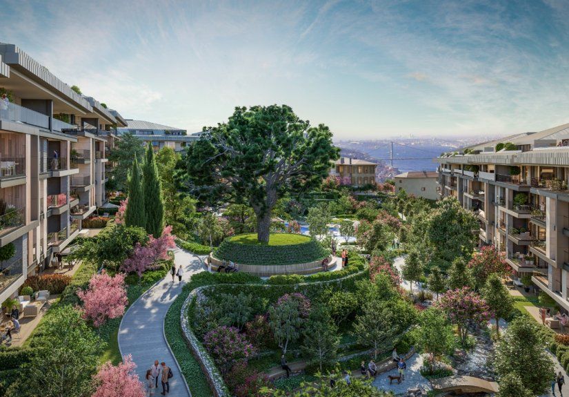 Aria Çengelköy