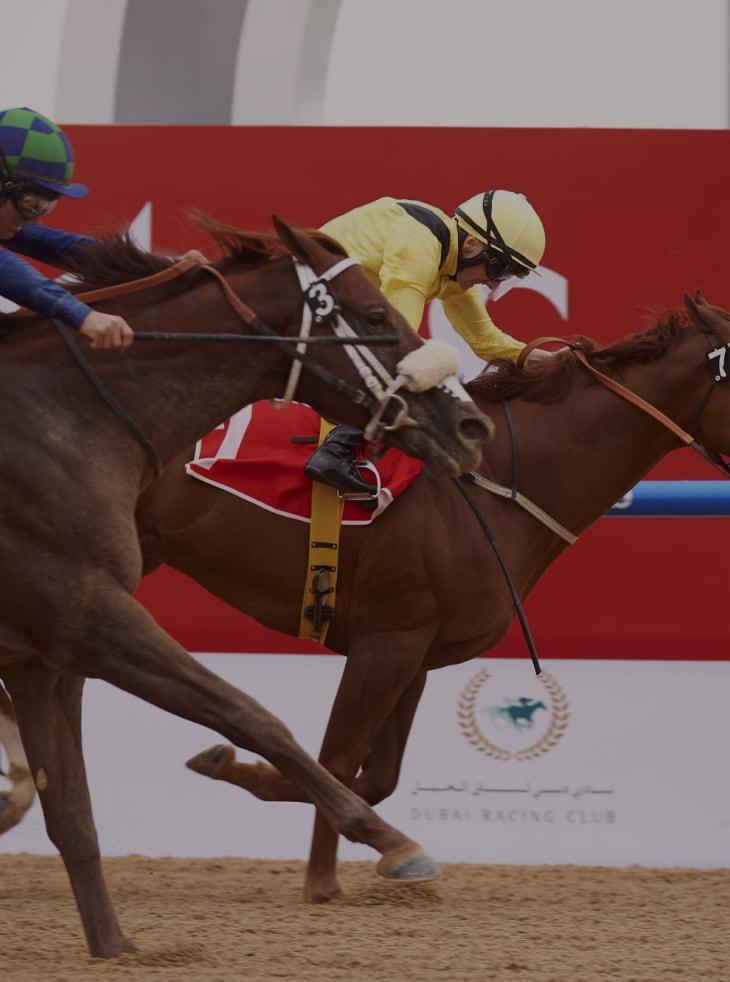 Jebel Ali Racecourse