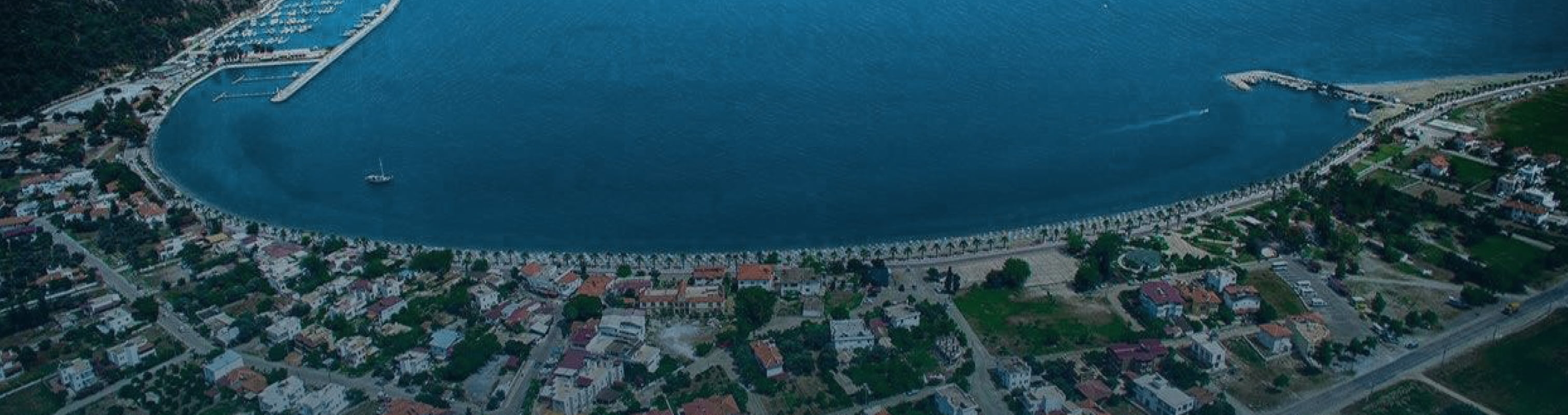 Header
