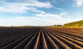 فرصت های سرمایه گذاری در بخش کشاورزی در ترکیه