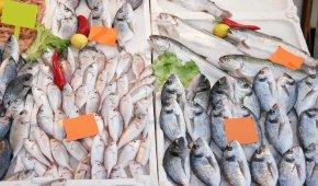 古尔皮纳水产品市场和渔港
