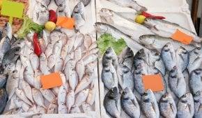 Gurpinar Water Products Market und Fischereihafen