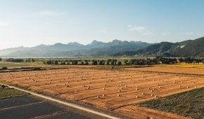 Сколько стоит земля за гектар?