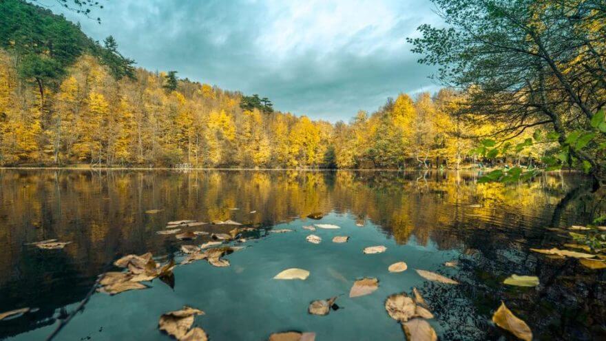 Yedigoller National Park image1