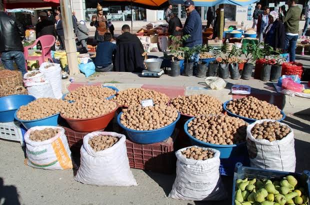 Turkey's Local Festivals image7