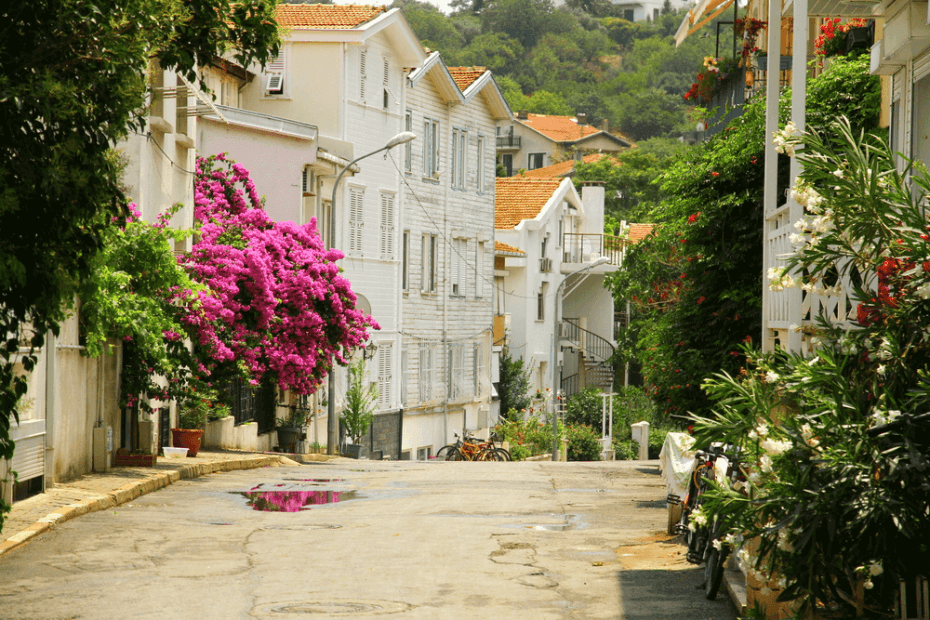 Perlas de Estambul; Islas de los Príncipes image1