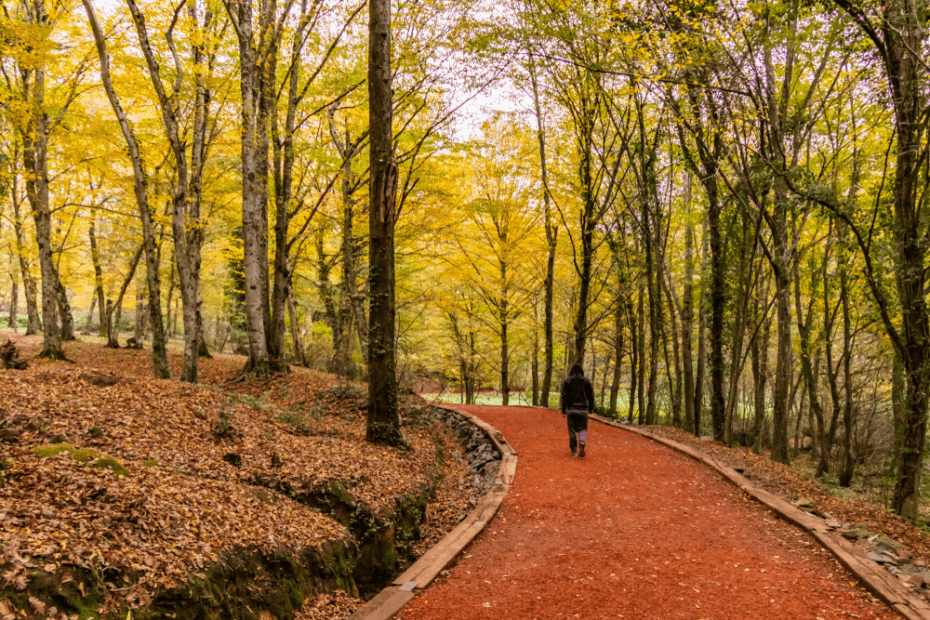 Sarıyer desde ayer hasta hoy image3