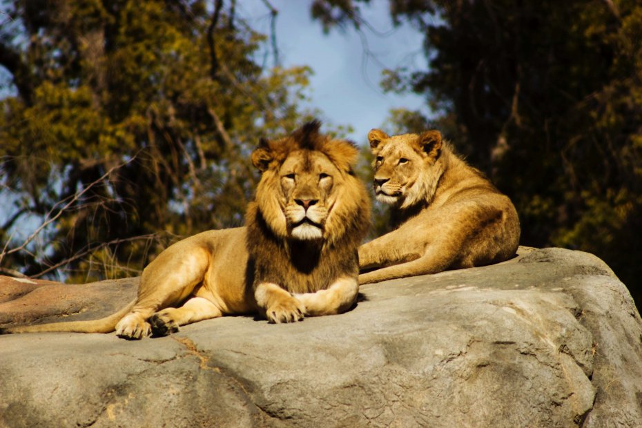 Zoos and Aquariums in Turkey image2