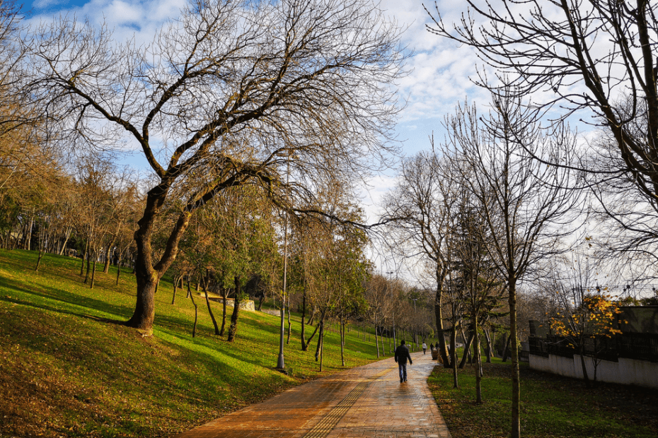 ایک ہمسایہ کے سراغ میں: نیسنتاسی ماضی سے حال تک image3