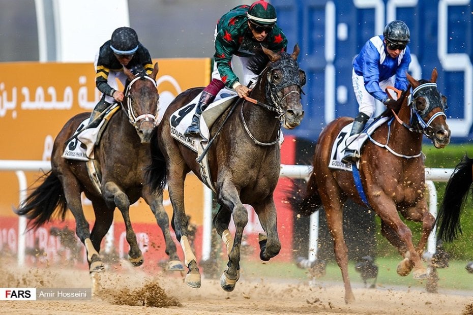 major-sporting-events-in-dubai-trem-global