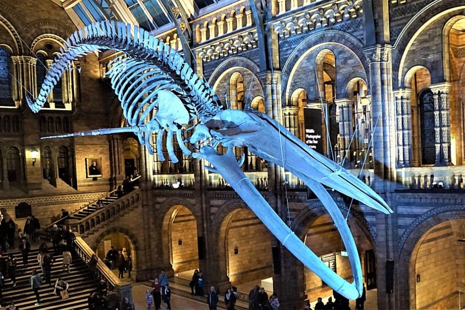 Best Museums and Art Galleries in London image2